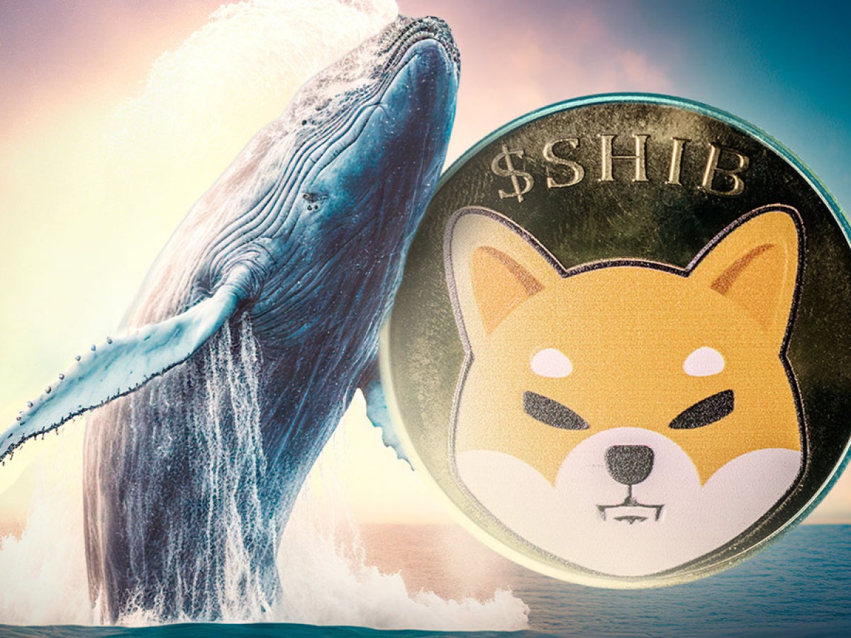 Whale Accumulates Shiba Inu SHIB: Massive Investment Amidst Bear Market 