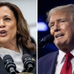 Trump-Based Memecoins Fall Behind as Harris Gains Poll Lead