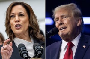 Trump-Based Memecoins Fall Behind as Harris Gains Poll Lead