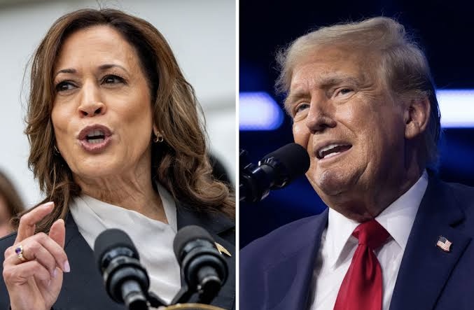 Trump-Based Memecoins Fall Behind as Harris Gains Poll Lead