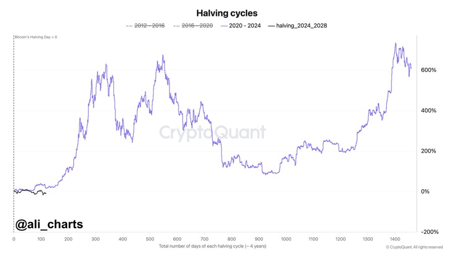 Bitcoin Halving Cycles Source: CryptoQuant