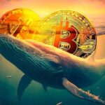 Crypto Whale Falls Victim to Phishing Scam, Loses $55M in Dai Stablecoin