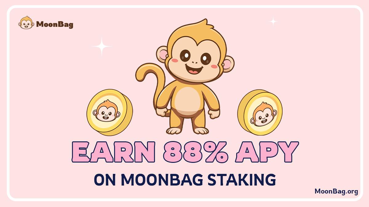 MoonBag's Approach: Liquidity, Sustainability, and Community Growth