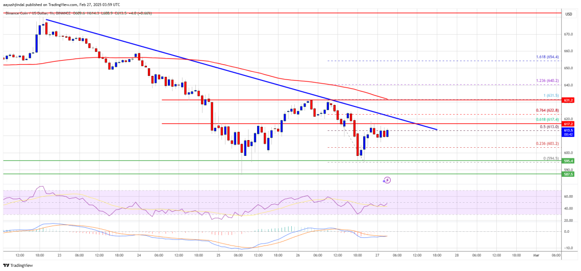 BNB Price Faces Resistance Near $618 and $622 