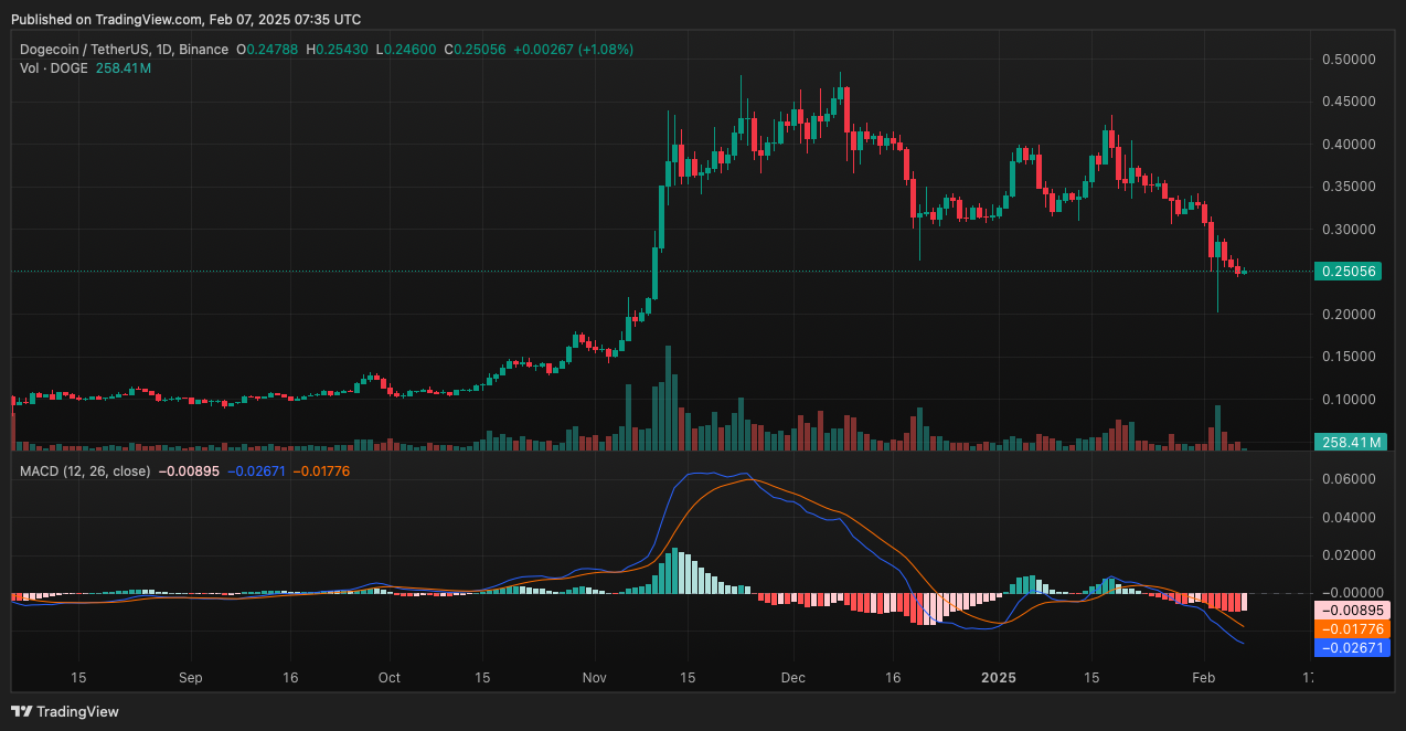 Dogecoin Price Prediction: Is DOGE About to Rebound to $0.48?