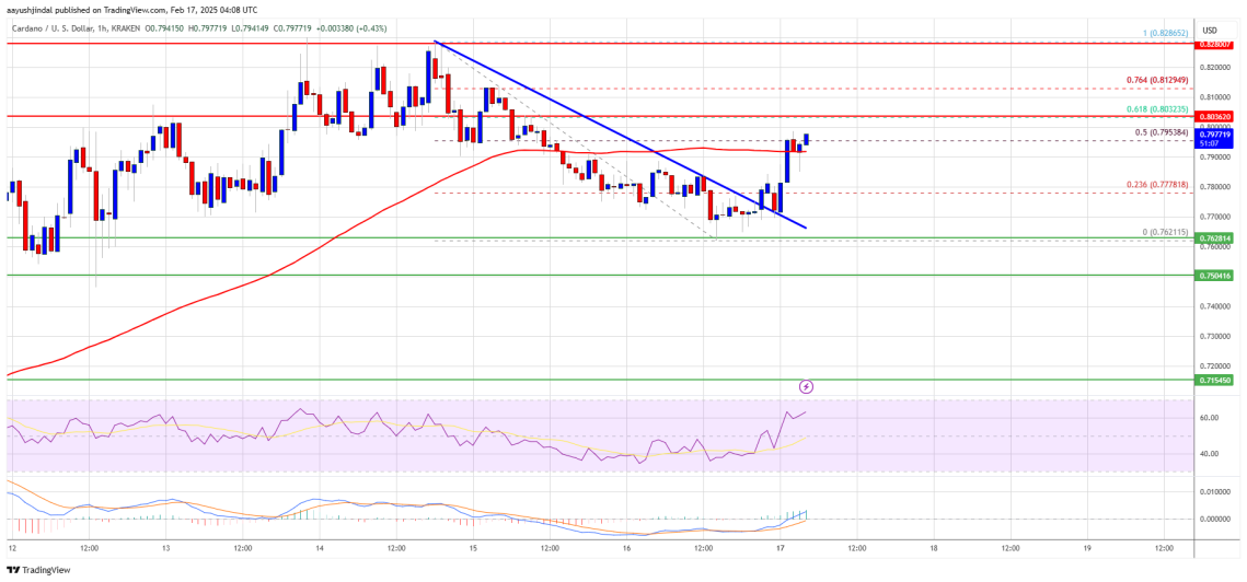 Fib retracement