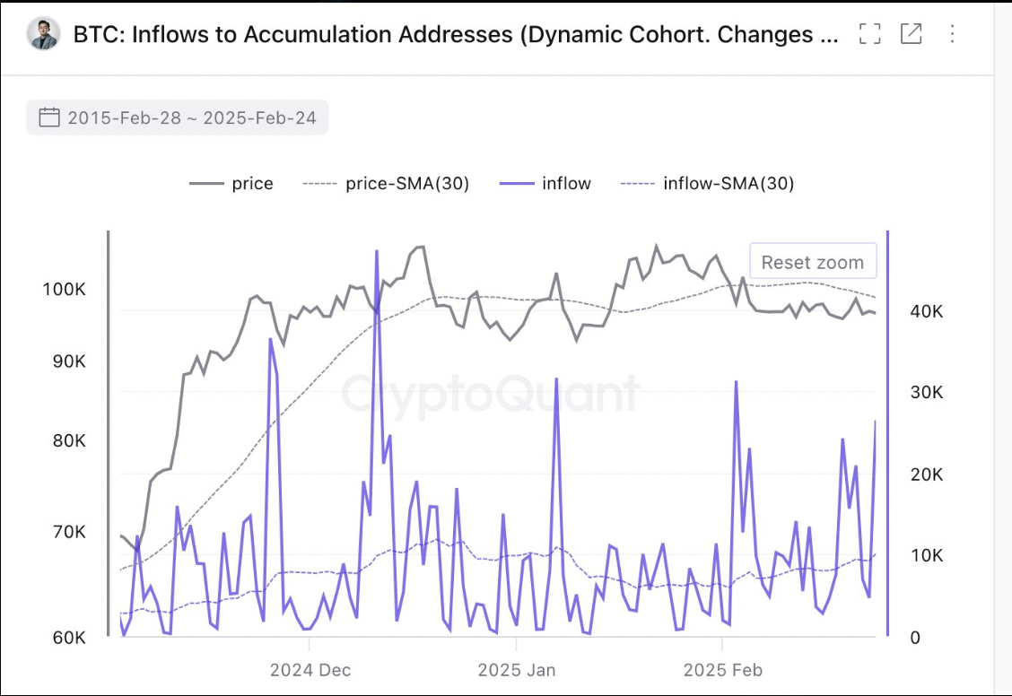 On-Chain Data Shows Increased Institutional Interest