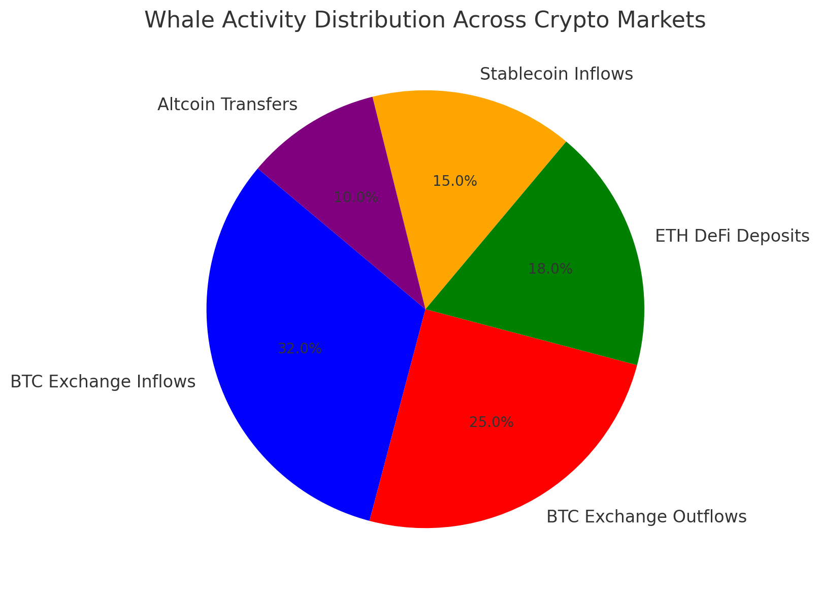 Whales Overview