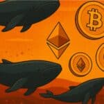 top crypto whales moves