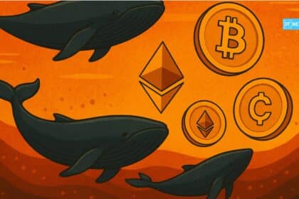 top crypto whales moves