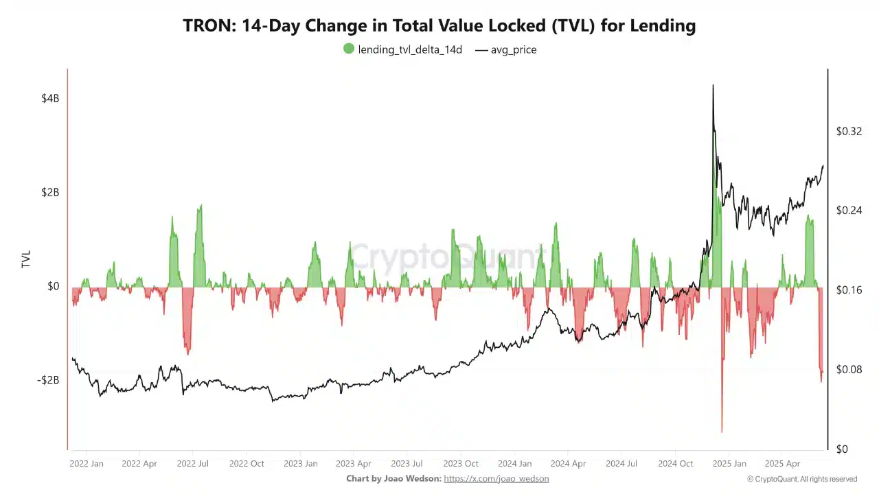 TRON’s Hidden Battle: Whale Optimism vs. Bearish Liquidity Signals 24 TRON Whales