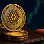 Cardano holders