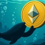 Ethereum Whale Accumulation