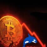 Bitcoin Plunges After Whale Dumps 24,000 BTC as Options Market Flashes Red