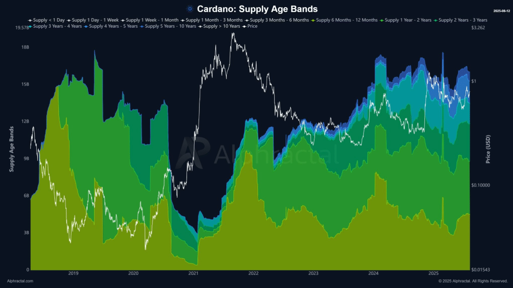long-term Cardano investors