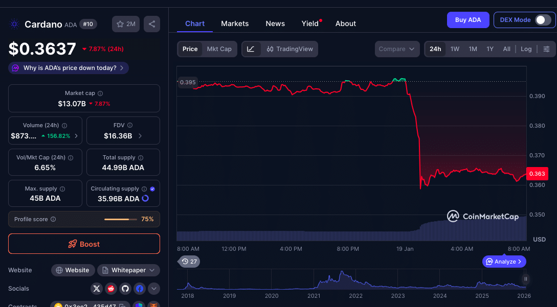 Cardano Whale Accumulation Tightens Supply as ADA Slips Into Descending Channel