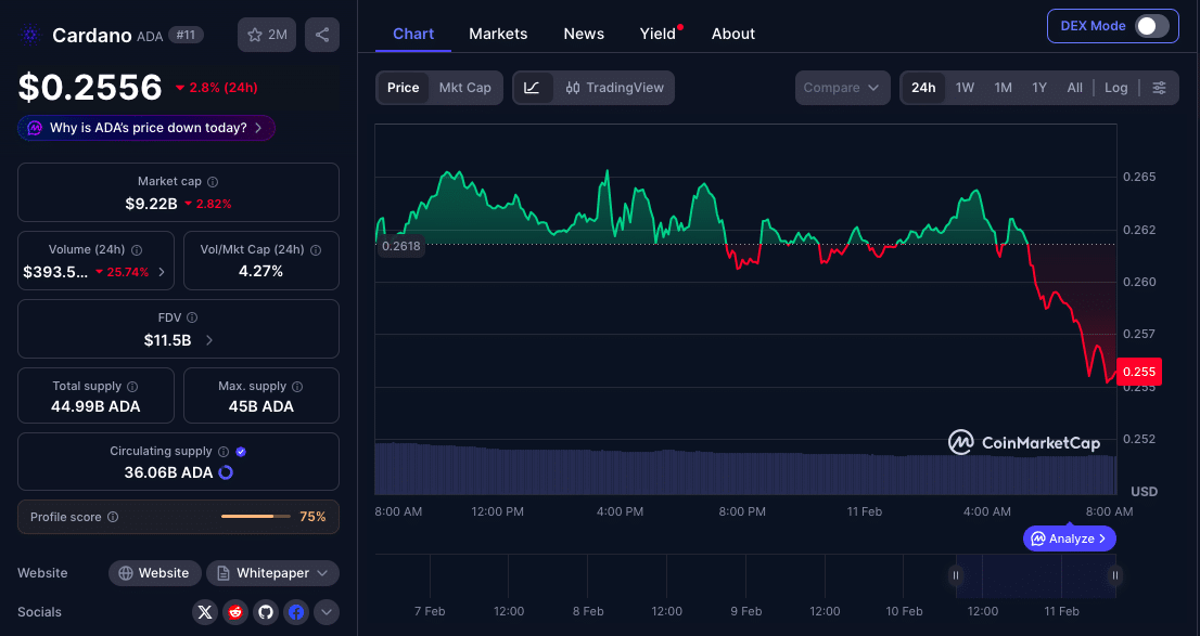 Why Did ADA Fall 3% After CME Debuts Cardano Futures 47 Why Did ADA Price Drop Nearly 3% Despite the Cardano CME Futures Launch?