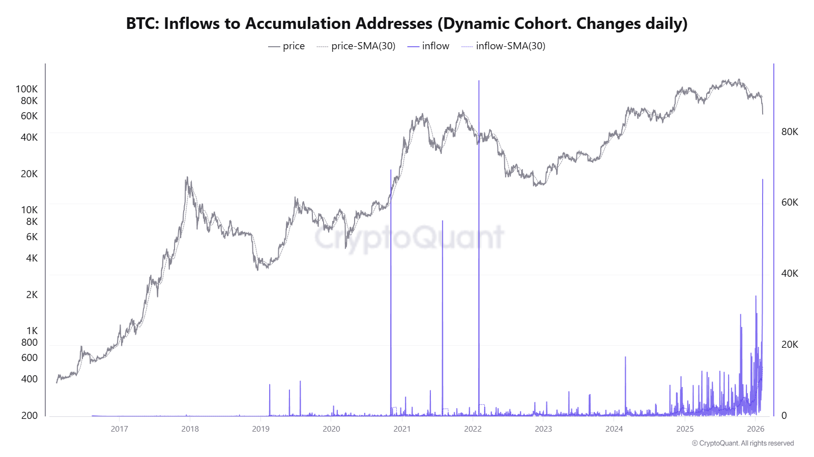 Bitcoin Whale Accumulation Move Billions Into Cold Storage as ETF Outflows Continue