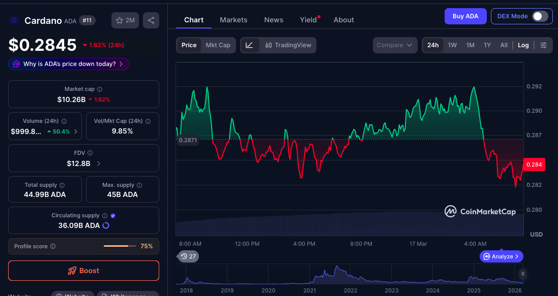Cardano Price Rally Hits 10% But Whale Selling and Weak Sentiment Raise Red Flags