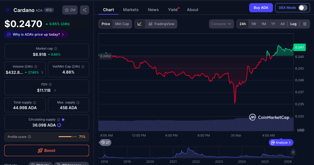 Cardano Price Prediction Weakens as ADA Falls Below $0.25 Amid Midnight Hype