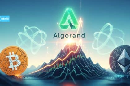 Algorand Price Surges 50% After Google’s Quantum Revelation: BTC, ETH Face Risks