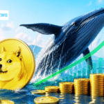 Dogecoin whale activity