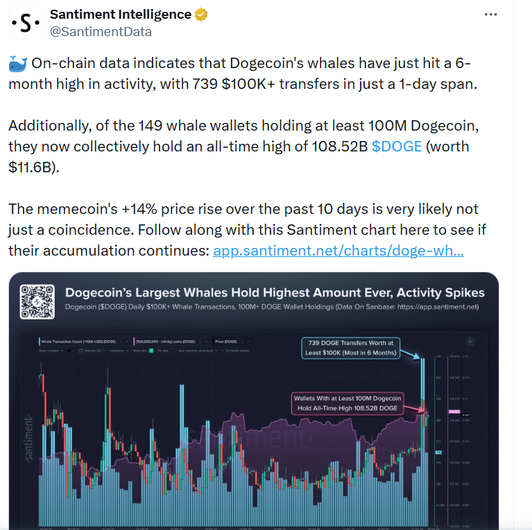 Dogecoin market sentiment